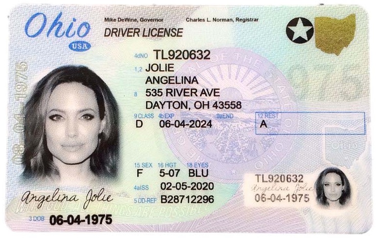 Can You Print A Copy Of Your Driver s License Online